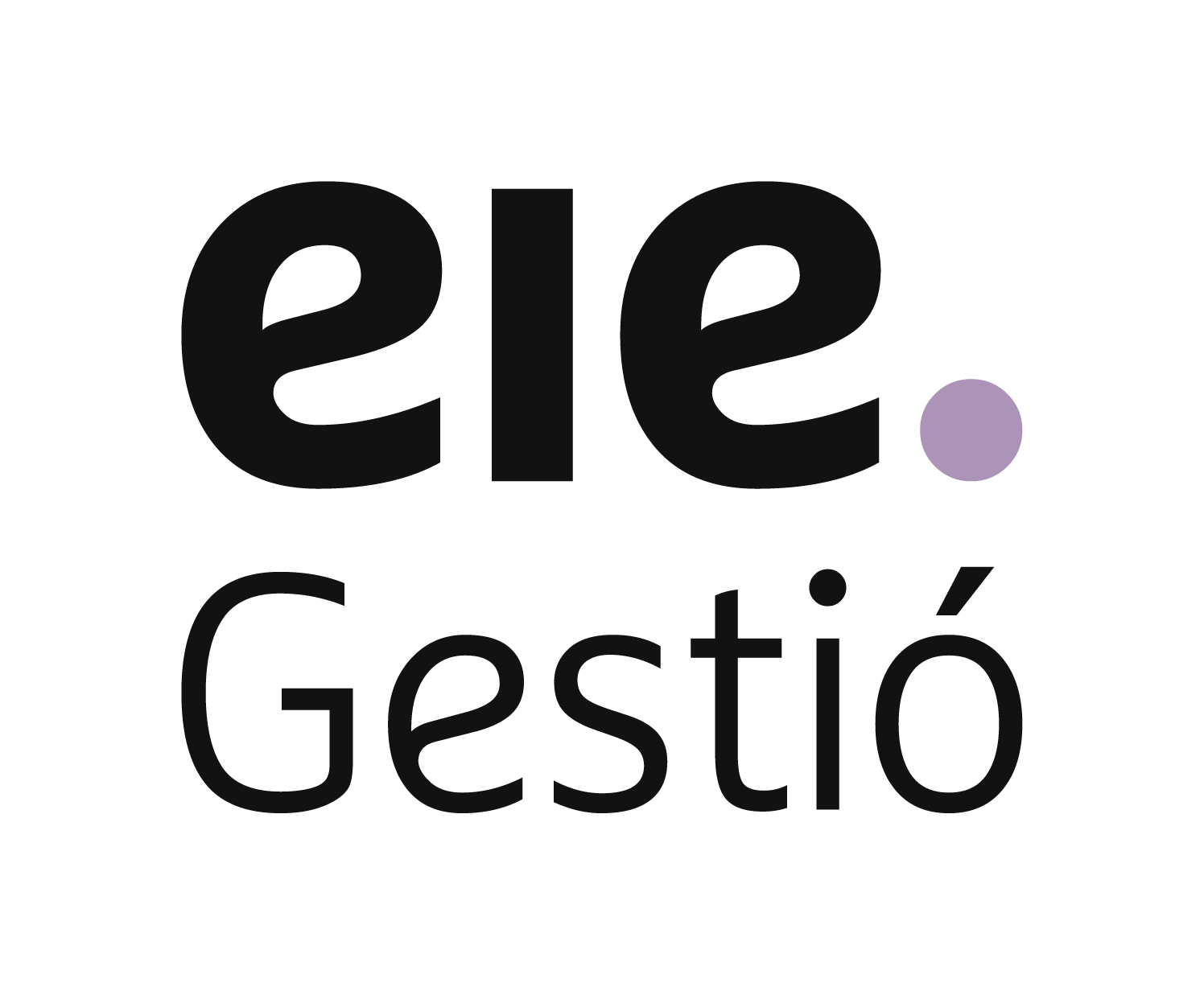 EiE Gestió CRM